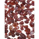 Ham Jasper & Kırmızı Akik Taşı Karışık Paket 50gr  8–16mm  Şifalı Doğaltaş Kombinasyonu